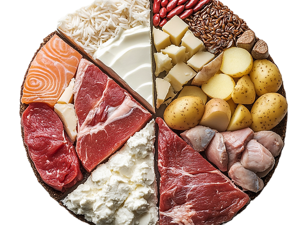 De macronutriëntentracker