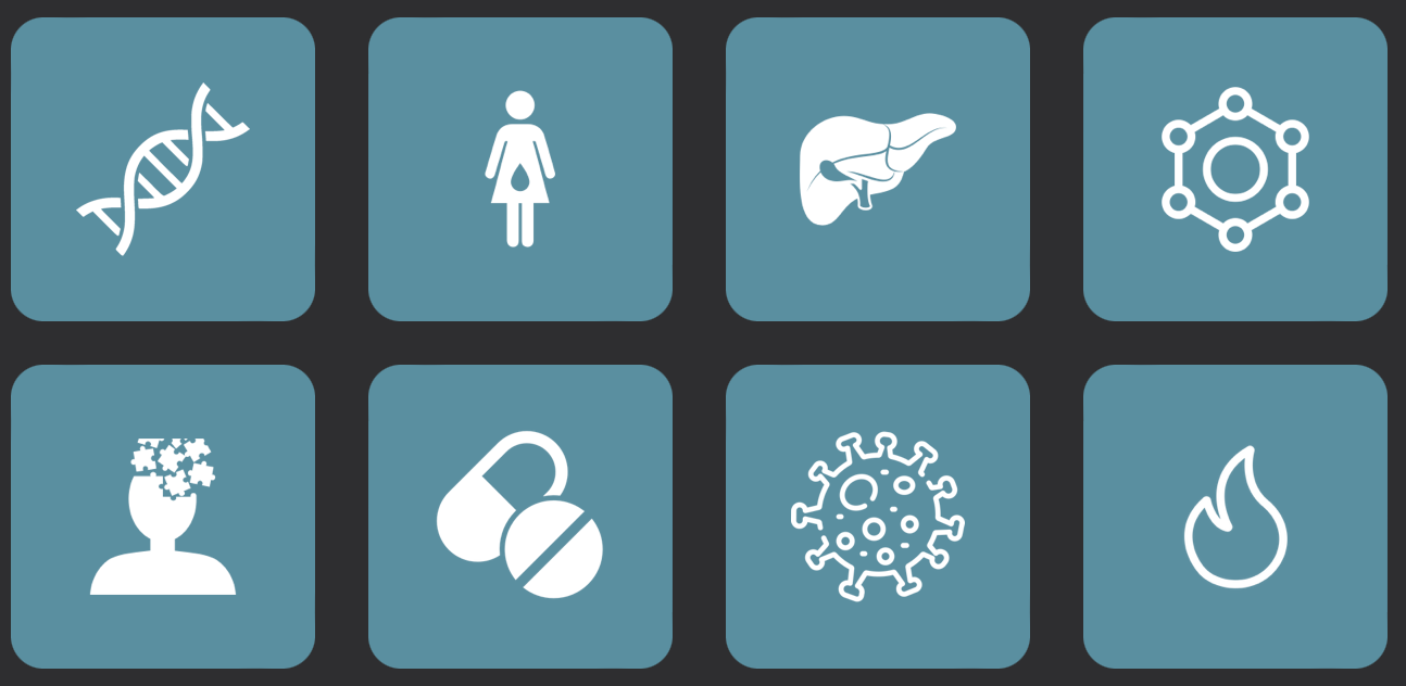 Migraine Bouwsteenanalyse